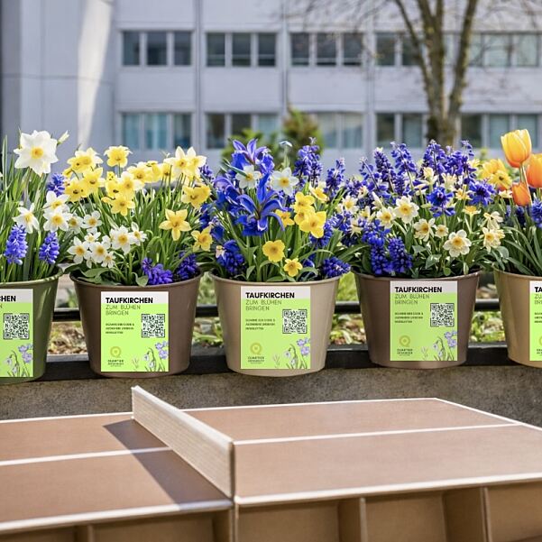 Blumentöpfe Quartier am Bahnhof