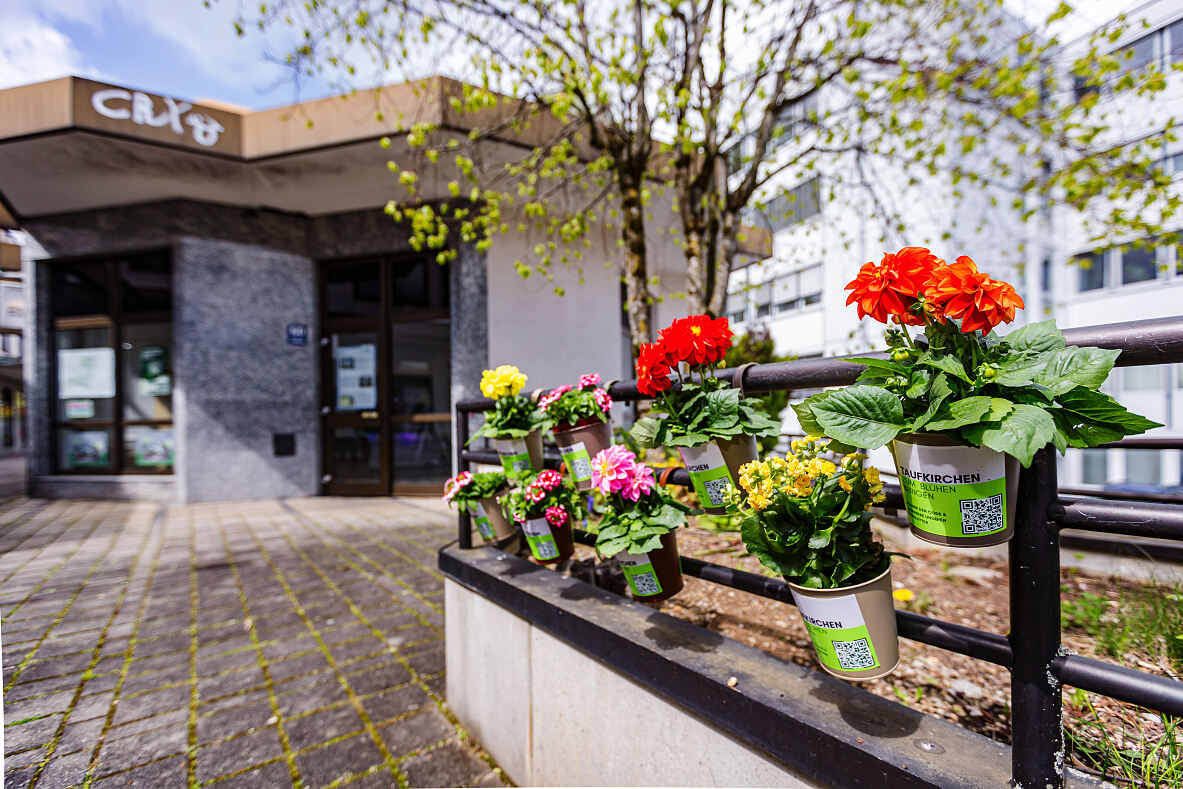 Taufkirchen Blüht auf 