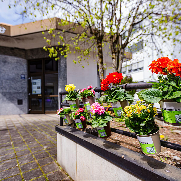 Taufkirchen Blüht auf 