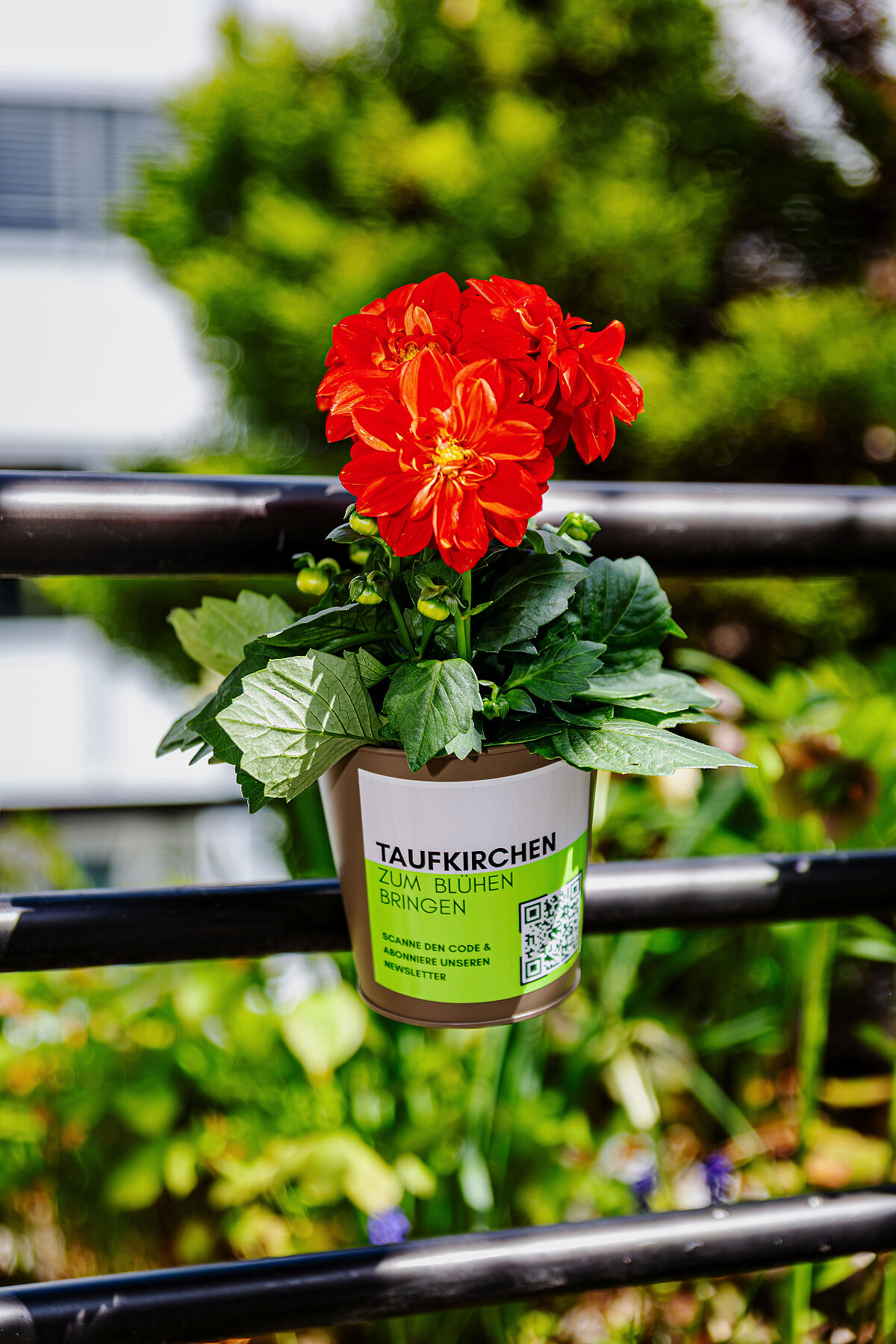 Taufkirchen Blüht auf 