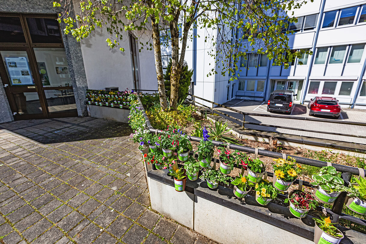 Taufkirchen zum Blühen bringen 