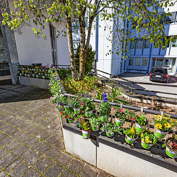 Taufkirchen zum Blühen bringen 