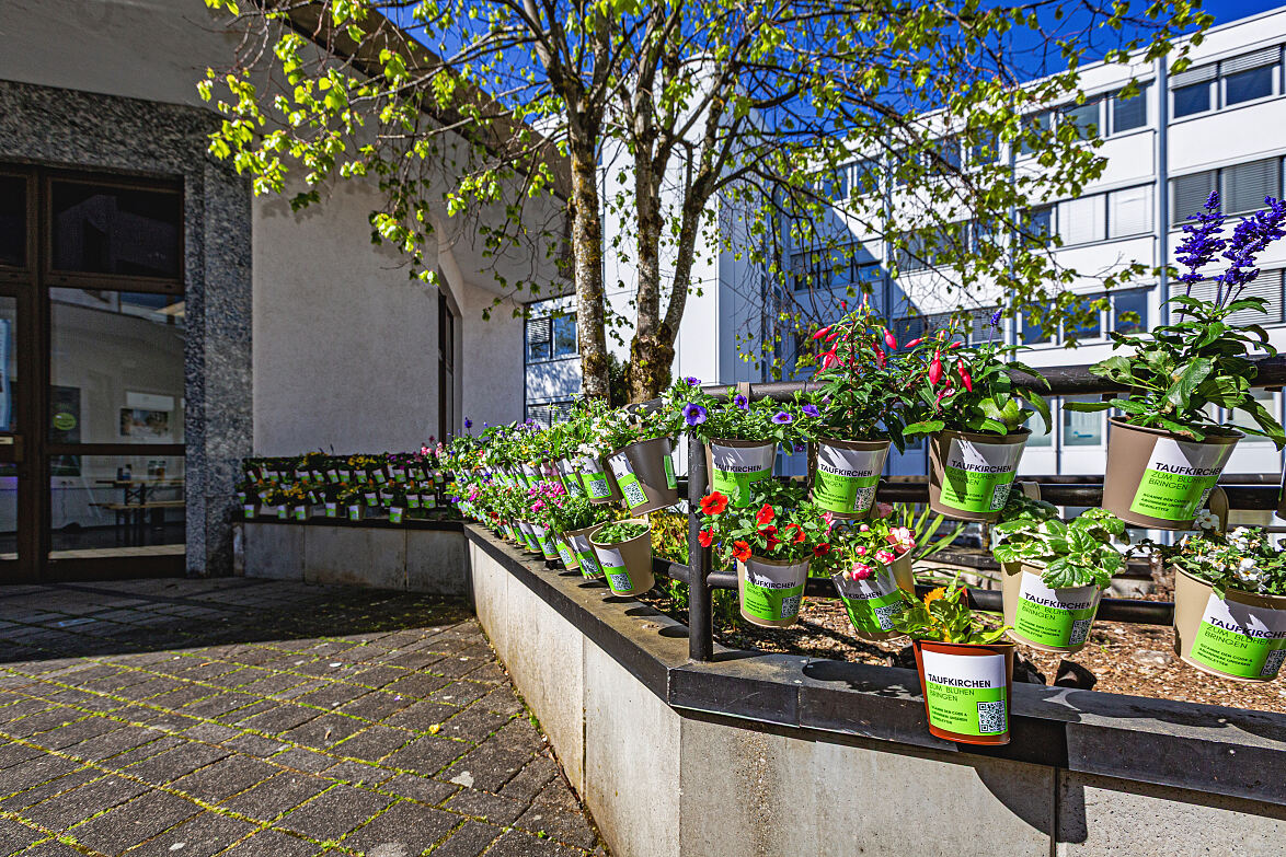 Taufkirchen zum Blühen bringen 