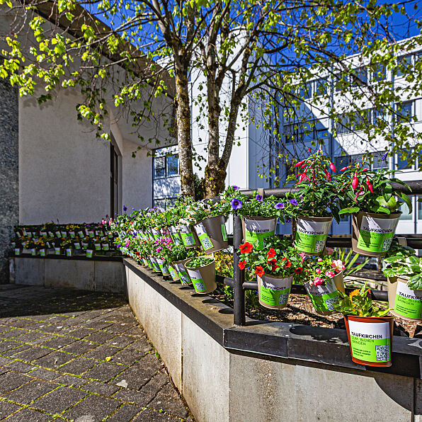 Taufkirchen zum Blühen bringen 