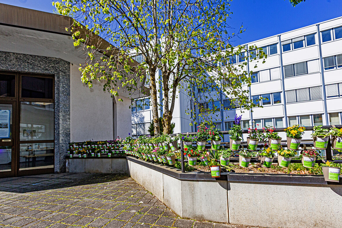 Taufkirchen zum Blühen bringen 