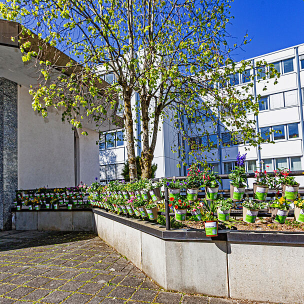 Taufkirchen zum Blühen bringen 