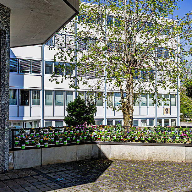 Taufkirchen zum Blühen bringen 