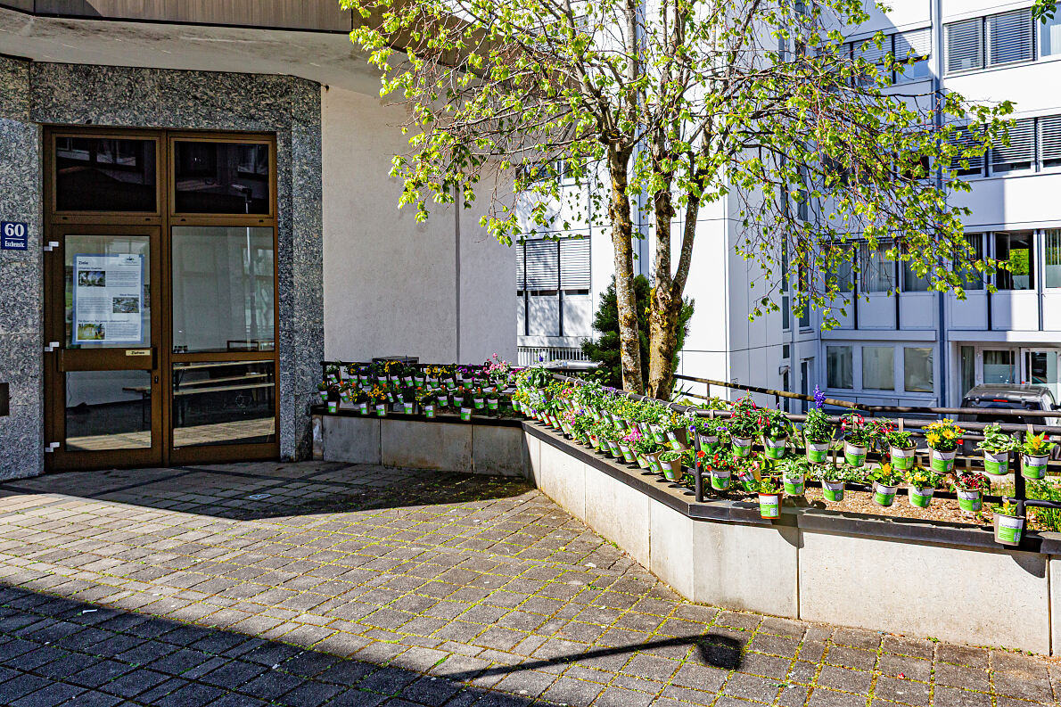 Taufkirchen zum Blühen bringen 