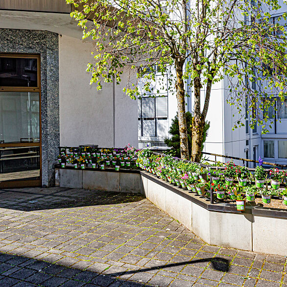 Taufkirchen zum Blühen bringen 