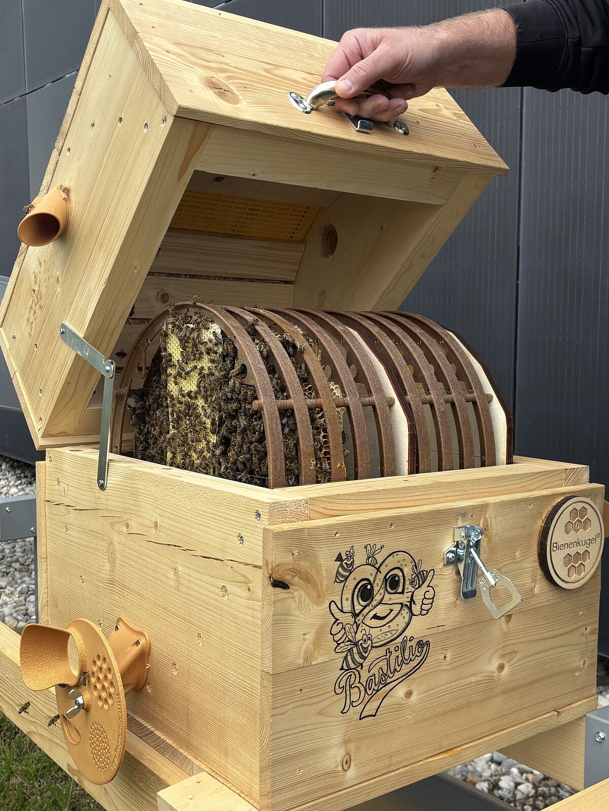 Neues Bienenvolk auf der Dachterasse des i8
