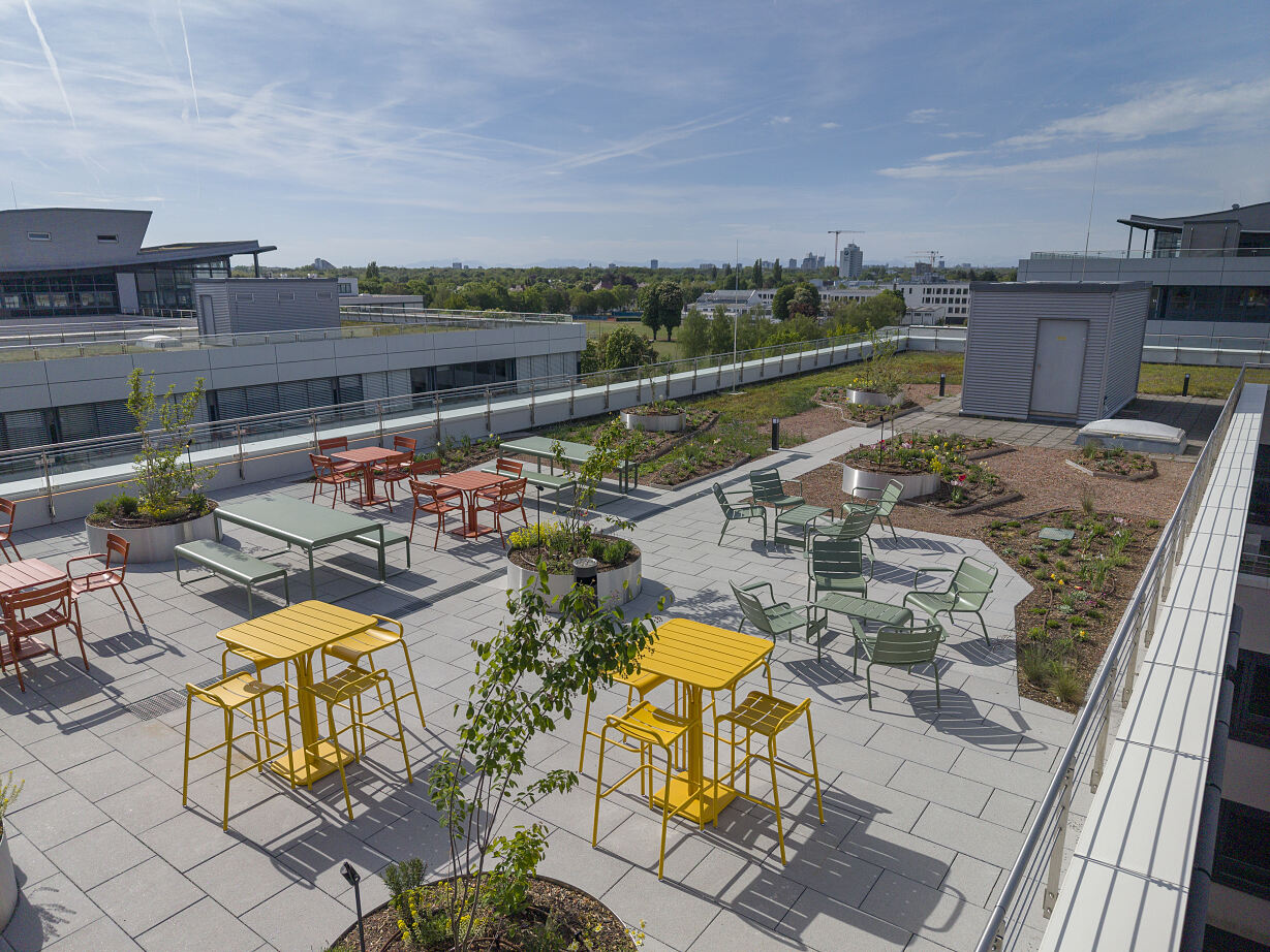 Gemeinschaftlich genutzte Dachterrassen gehören zum Community Space im LILO. ACCUMULATA Operations aktiviert und betreibt sie als Teil des Hospitality-Konzepts.
