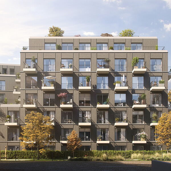 UBM Development