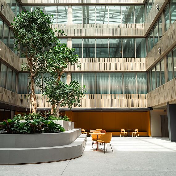 Das zweite Atrium des HEADS beherbergt zwei über 10 Meter hohe Fici.