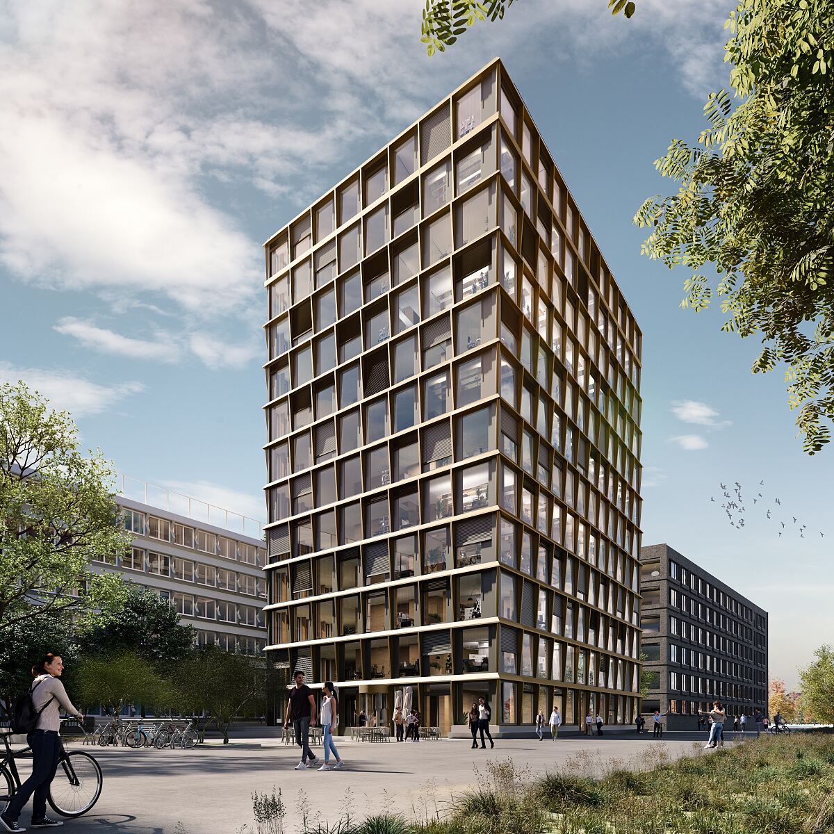 Timber Peak am Zollhafen Mainz