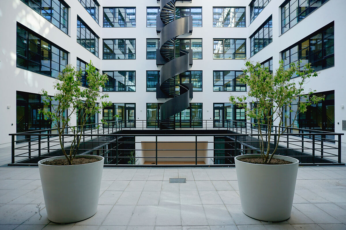 Neue Balan_Haus 28_Innenhof_Pflanzen