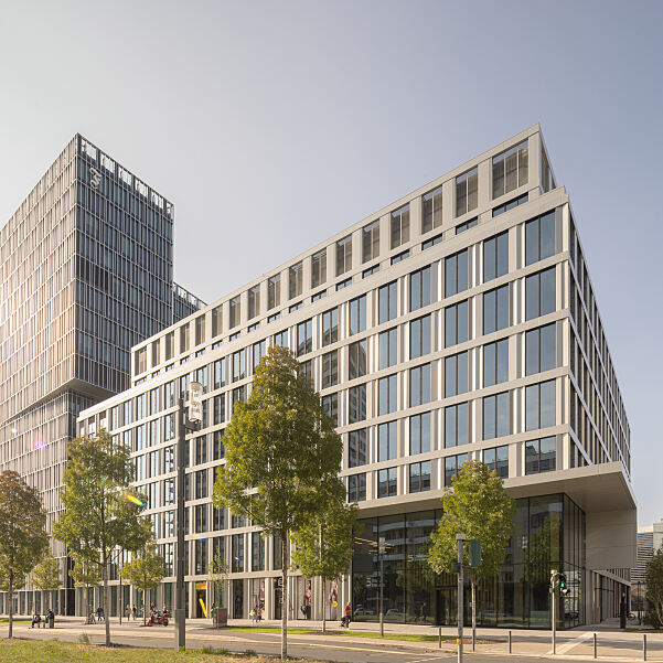 Timber Pioneer Front